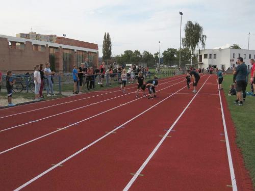 IMG 9469
