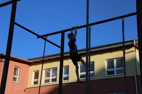 IMG 1278