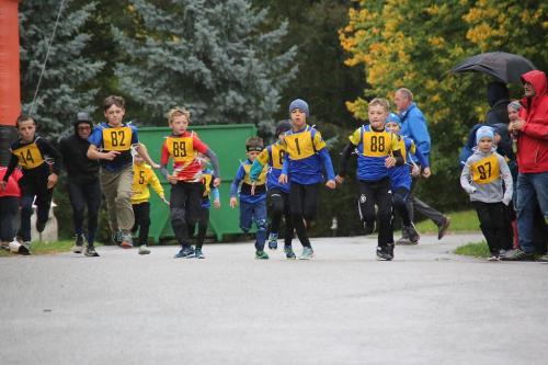 IMG 3652