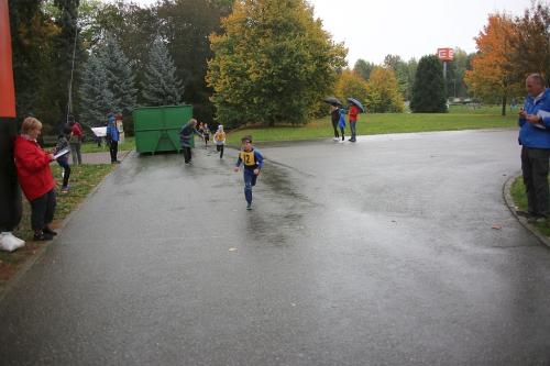 IMG 3672