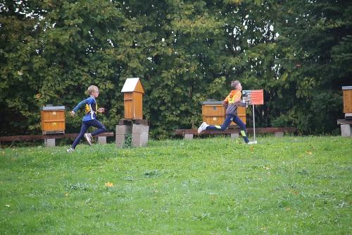 IMG 3732