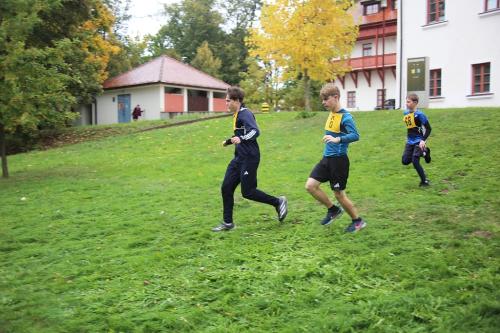 IMG 3887