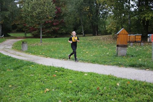 IMG 3904